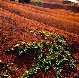 传闻：FS正在为PS5开发一个独占魂类游戏